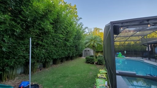 Bamboo privacy screen by pool area